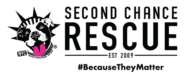 Charity Logo